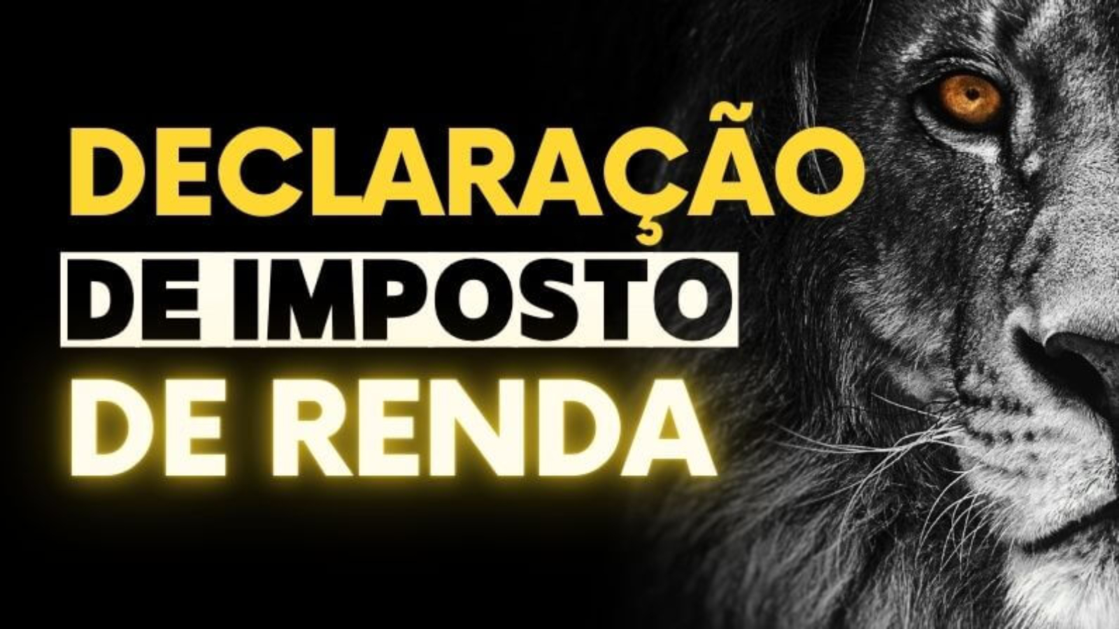 Declaração de Imposto de Renda